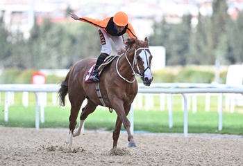Sadık Giz Koşusu'nu Wardenclyffe kazandı