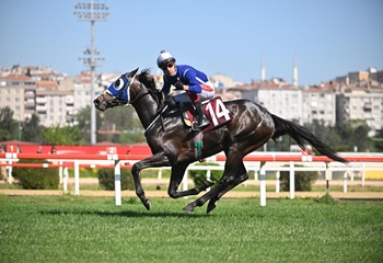 Dinçer Cebeci Koşusu'nda zafere The Real One uzandı