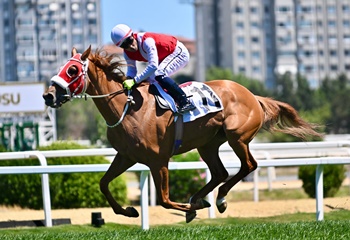 Bilyoner Kocatepe Koşusu'nu Etsuko kazandı