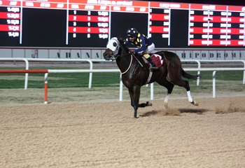 Ali Karabucak Koşusu'nu Halleluka kazandı