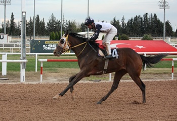 Seyhan Belediye Başkanlığı Koşusu'nda kazanan Hood River oldu