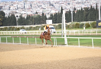 Şencan Fotocan Koşusu'nu üst üste üçüncü kez Wardenclyffe kazandı