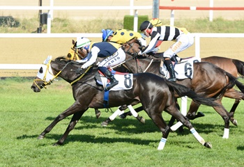 Özdemir Atman Koşusu'nu Star Runner kazandı