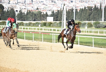 Fehmi Simsaroğlu Koşusu'nda zafere ulaşan Almighty Esprit oldu