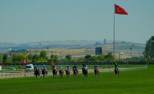 Karayel Koşusu'nda birinciliğe Haroldcooper uzandı Yarışçılık tarihimizin unutulmaz safkanlarından Karayel adına düzenlenen 2 yaşlı İngiliz taylarına mahsus koşu (Açık-G1), 15 Ağustos Cumartesi günü 75. Yıl Ankara Hipodromu’nda gerçekleşti. - görsel 3