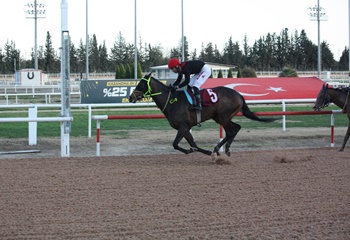 TSYD Adana Şubesi Koşusu'nu Zagros Rüzgarı kazandı