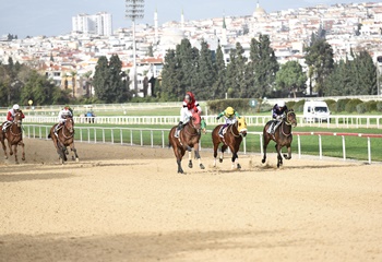 William Giraud Koşusu'nun galibi Hardox oldu