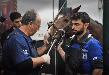 Atlarda Diş Bakım ve Tedavileri Eğitimi Veliefendi Hipodromu At Hastanesi'nde gerçekleşti