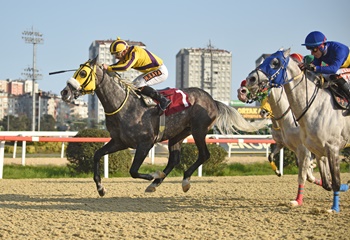 Kenan Atan Koşusu'nda kazanan Ak Filozof oldu