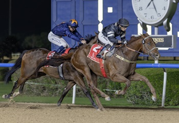 Profitable temsilcisi El Nasseeb'den G3 Mahab Al Shimaal galibiyeti