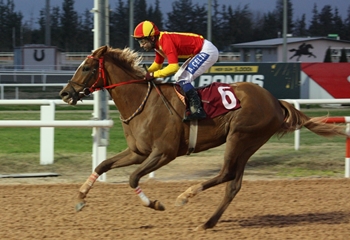 Çukurova Gazeteciler Cemiyeti Koşusu’nda galibiyet Syntagma’nın oldu