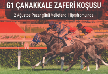 Çanakkale Zaferi Koşusu Pazar günü Veliefendi'de düzenlenecek