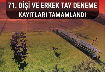 71. Dişi ve Erkek Tay Deneme Koşularında kayıtlar tamamlandı