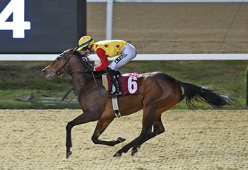 Dünya Kadınlar Günü Koşusu'nda kazanan Jaehaera oldu