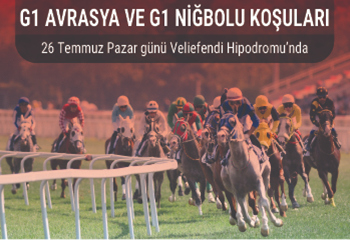 G1 Avrasya ve G1 Niğbolu Koşuları Pazar günü Veliefendi'de