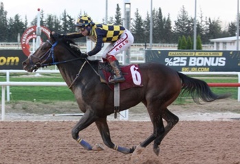 M. Fehmi Dinkçioğlu Koşusu’nu Percy Jackson kazandı