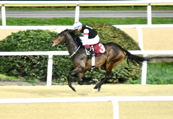 Özkan İşgüden Koşusu'nu Hope Breeze kazandı