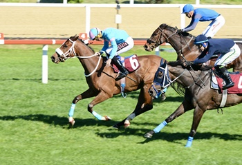 Kadir Keçelioğlu Koşusu'nu Gold Flower kazandı