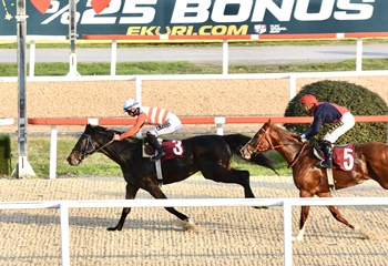 Prof. Dr. Mecdi Ramazanoğlu Koşusu'nu Captain Fantastic kazandı