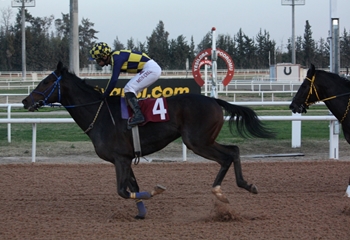 Çukurova Belediye Başkanlığı Koşusu'nu Percy Jackson kazandı
