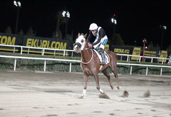 Şanlıurfa Vali Koşusu’nda zafere uzanan Kent Rüzgarı oldu