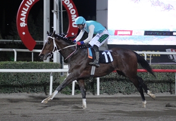 Şanlıurfa Ticaret ve Sanayi Odası Koşusu’nu Galloon kazandı