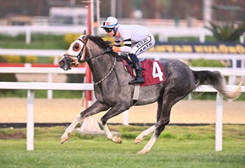 Türk Kalp Vakfı Koşusu'nu Erdek kazandı
