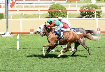 Türkiye Spor Yazarları Derneği Koşusu’nu Hasheybetli kazandı