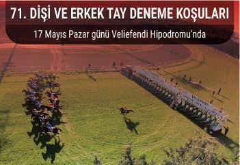 71. Dişi ve Erkek Tay Deneme Koşuları Pazar günü Veliefendi'de