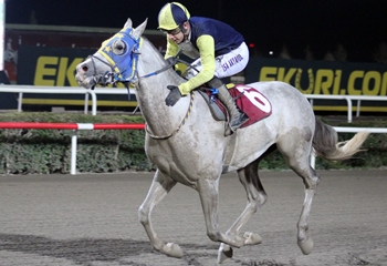 Viranşehir Kaymakamlığı Koşusu'nu Küçük Eyyüp kazandı