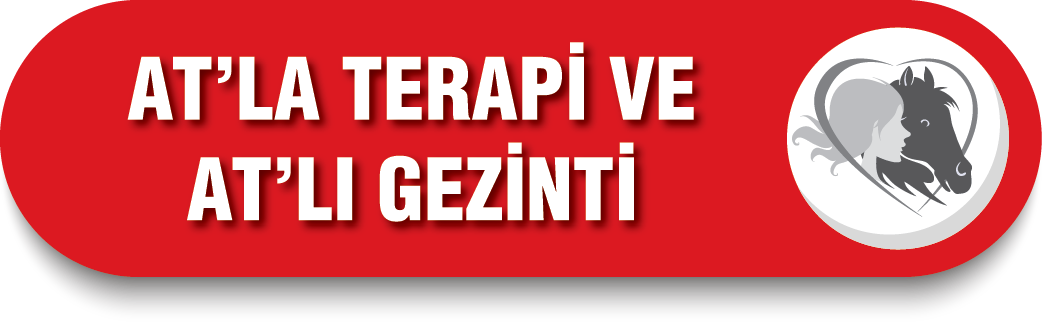 Atlı Terapi ve Gezinti