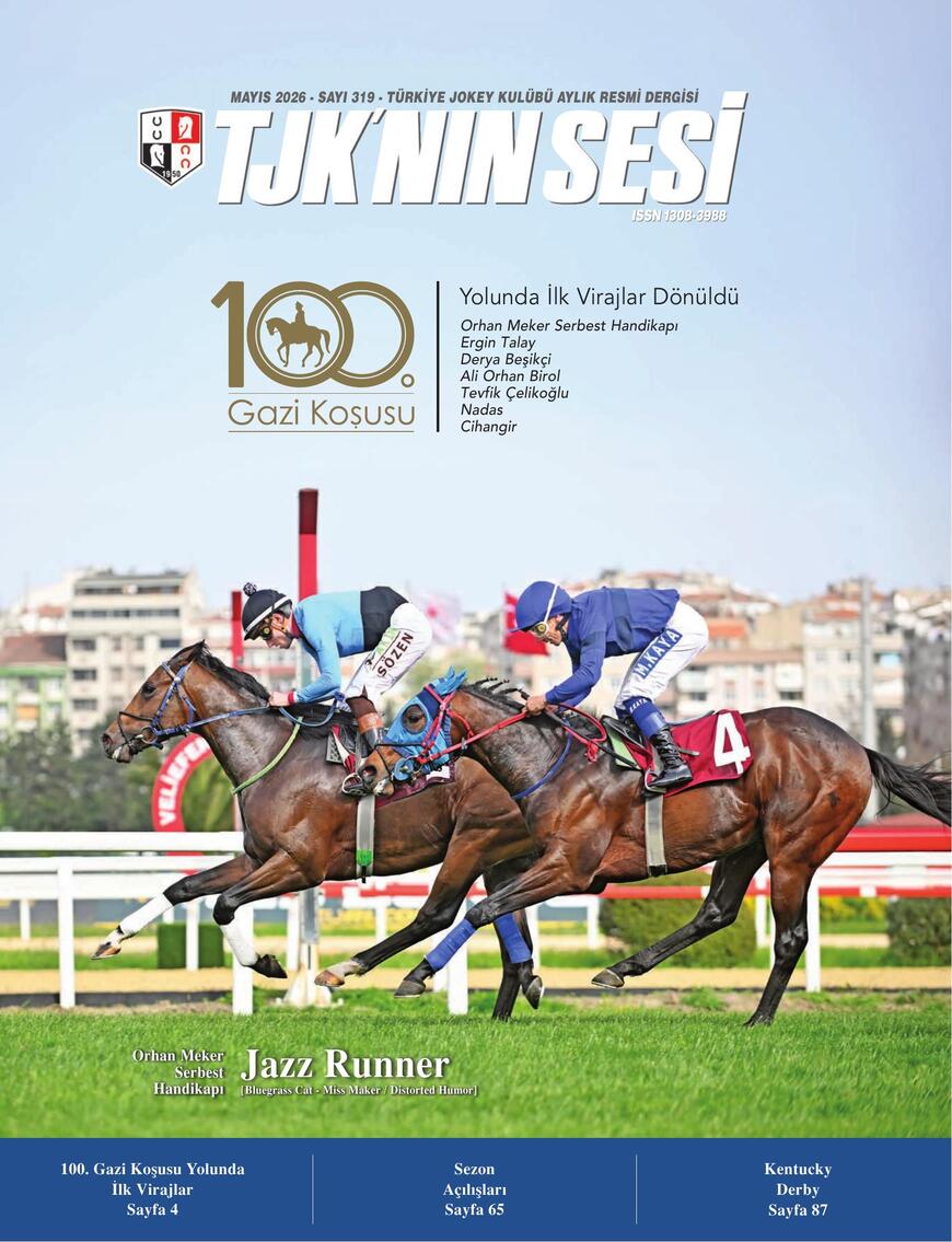 CİLT 1
