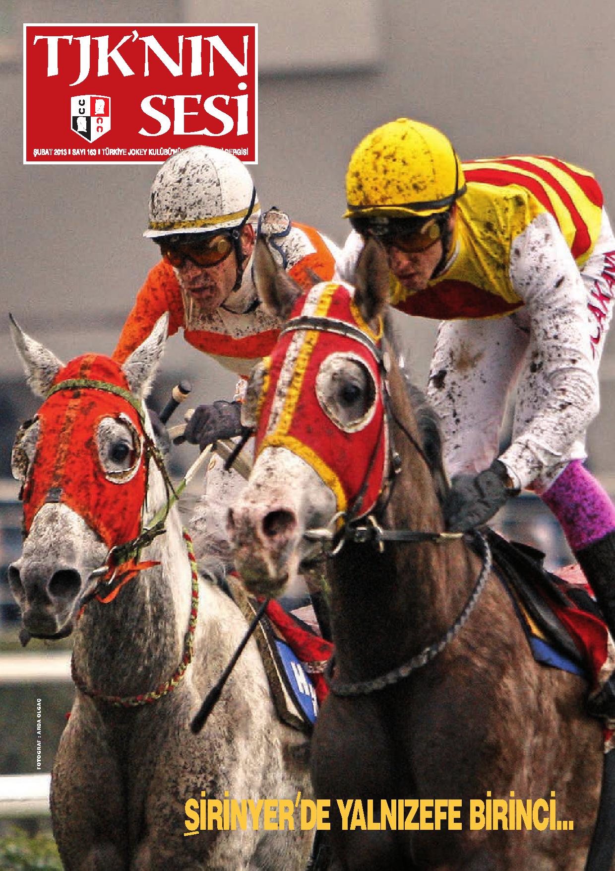 2013 Şubat TJK'NIN SESİ